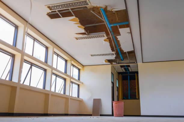 Best Basement water damage restoration  in Winterville, NC