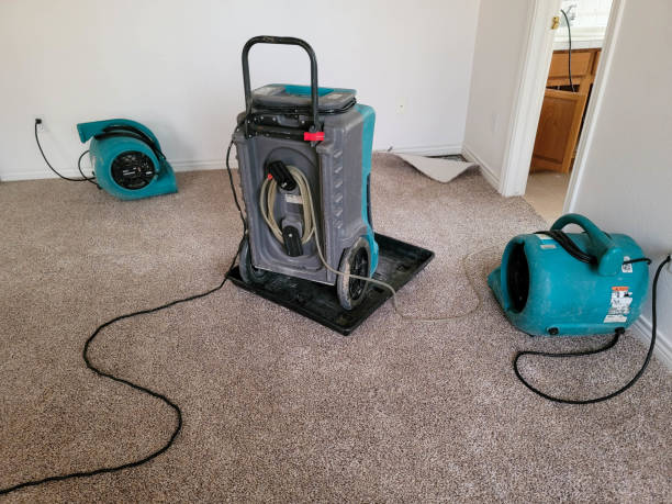 Best Basement water damage restoration  in Winterville, NC