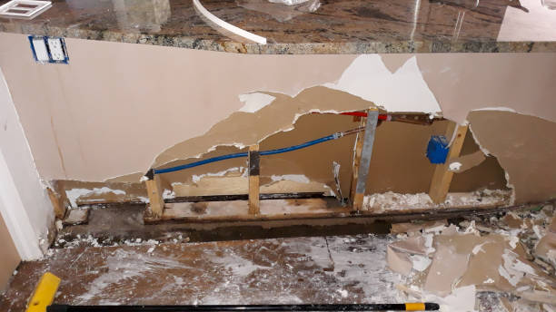 Best Carpet water damage restoration  in Winterville, NC