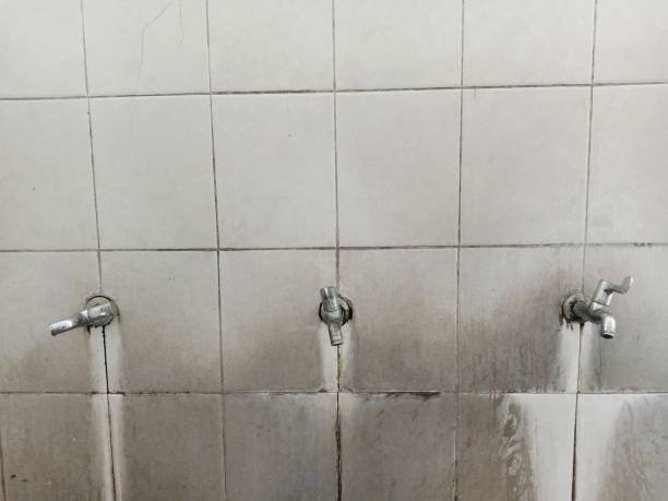 Best Water damage restoration process  in Winterville, NC