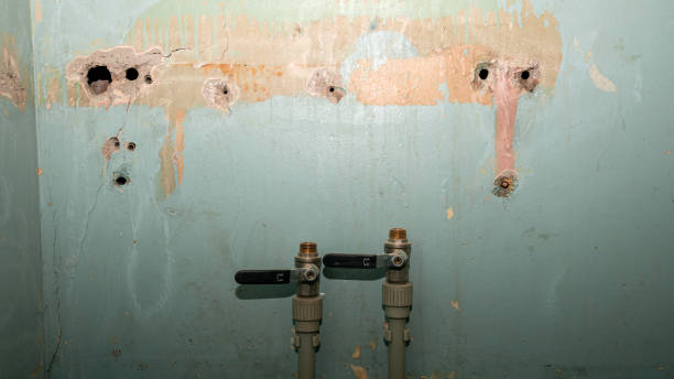 Best Flood restoration services  in Winterville, NC