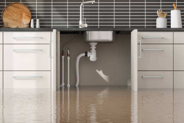 Best Residential water damage restoration  in Winterville, NC