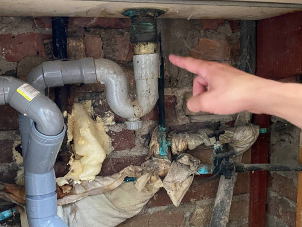 Best 24/7 water damage repair  in Winterville, NC