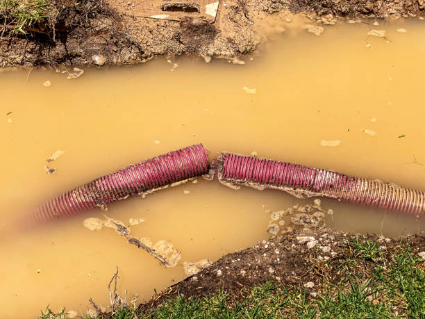 Best Water damage contractors near me  in Winterville, NC