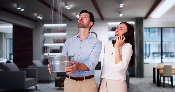 Best Commercial water damage restoration  in Winterville, NC