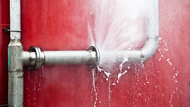 Best Mold removal after water damage  in Winterville, NC